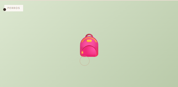 Mochila transporte perro